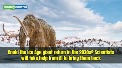 Scientists are using AI and gene editing to develop a mammoth-like elephant by 2030. (Image: Canva)