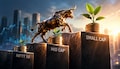 Investing in small-cap funds? 47% of small-cap stocks traded below their 10-year average valuations