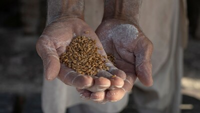 Ukraine in talks with India, Turkey and Egypt to restore Black Sea grain exports