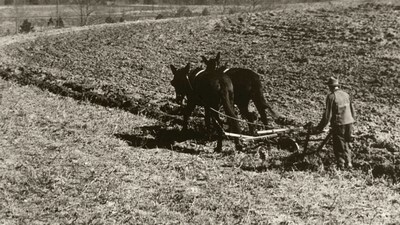 An early use of contour farming during the Dust Bowl. Image credits: Wikimedia Commons