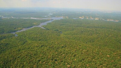 Aerial view of Amazon rainforest. Image credits: Wikimedia Commons