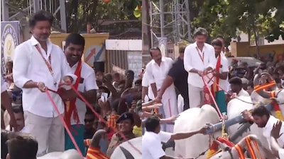 Vijay also visited the Moolanur Vanjiamman shrine during the campaign and offered prayers. (Image credit: X/PTI)
