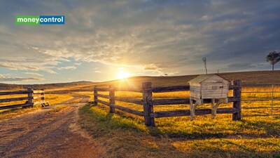 CNN founder Ted Turner bought 113,000 acres in Montana in 1989: Four decades later, the ranch looks very different as wolves, bears and bison roam free (representative image/canva)