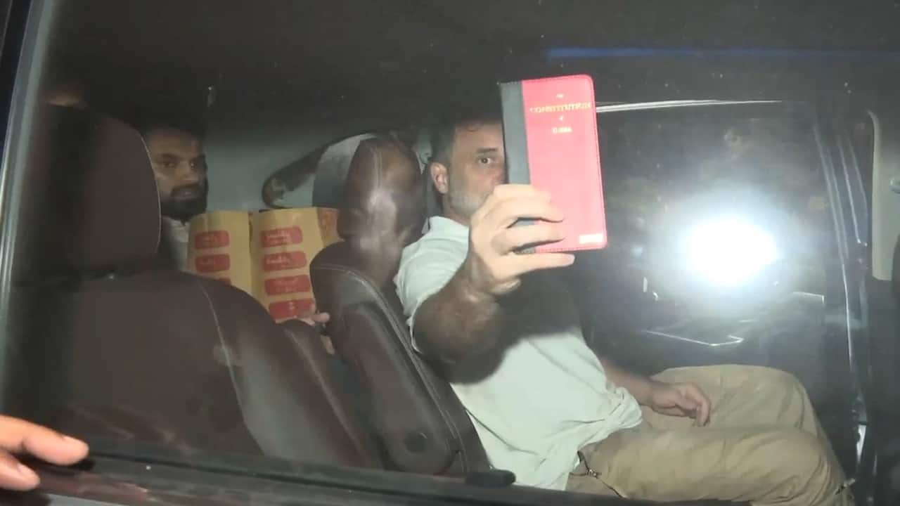 Rahul, Priyanka Gandhi Released After Anti-EC Protest Detention