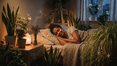 Plants like snake plant, lavender plant, among others, help heal a person and promote more restful sleep. (Picture: AI generated)