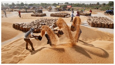 Workers removing dust from wheat at a wholesale grain market. (Courtesy: Reuters file photo)