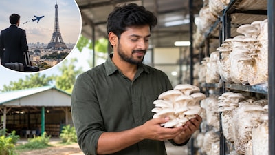 The man initially invested Rs 2 lakh to modify his family’s old poultry shed and start his mushroom farming venture.  (AI-generated representative image)