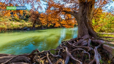 Fall Foliage on the Guadalupe River at Guadalupe State Park, Texas / Canva