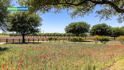 Patrón Co-Founder John Paul DeJoria's 96-acre Texas ranch sold for $6.93 million with 120 exotic animals and an underground shelter (representative image/canva)