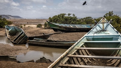 At least 109 migrants, including 15 children, died and 116 went missing after a boat carrying 350 people from Djibouti to Yemen capsized (Image: AFP)