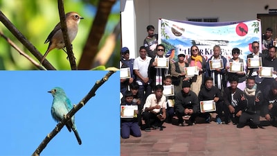 A two-hour bird count in Joram, Arunachal Pradesh, recorded 38 species during the district’s first-ever survey. (Image: The Arunachal Times)