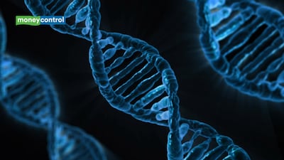 Scientists explore whether humans could live to 194 years by eliminating most causes of ageing, but DNA mutations may still set a biological limit (representative image/canva)