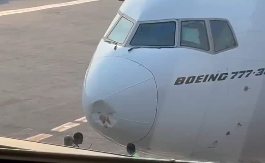 Dubai-bound Emirates flight suffers bird strike, delayed at Delhi airport