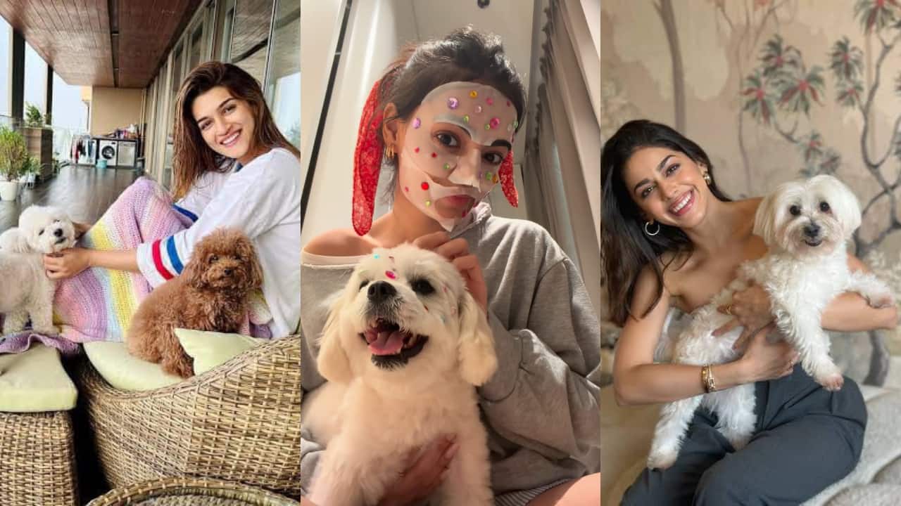 From Ananya Panday, Kriti Sanon To Janhvi Kapoor: Meet Bollywood celebs and their adorable pets who keep...