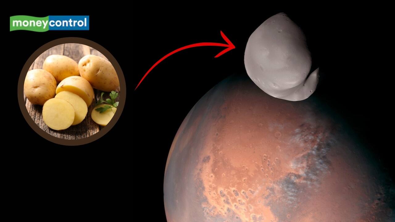 Does Mars have 2 potato-shaped Moons? Japan’s MMX Mission 2026 may solve the rare mystery