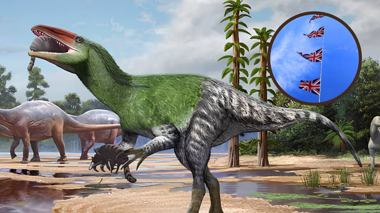 "Britain’s own dinosaur" mystery solved after 100 years - Scientists identify a new long-clawed predator in Europe