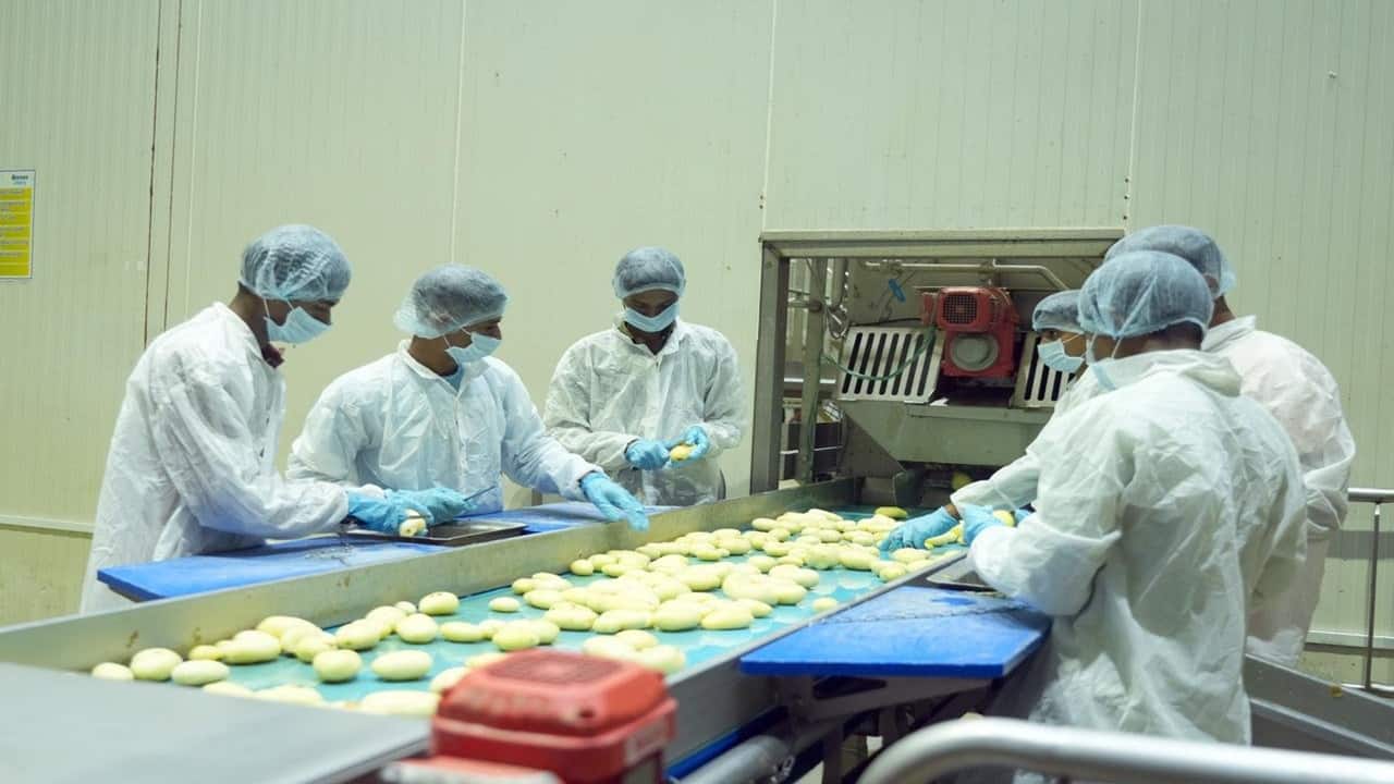 Made in India, served to the world: All about Banaskantha's potato processing revolution